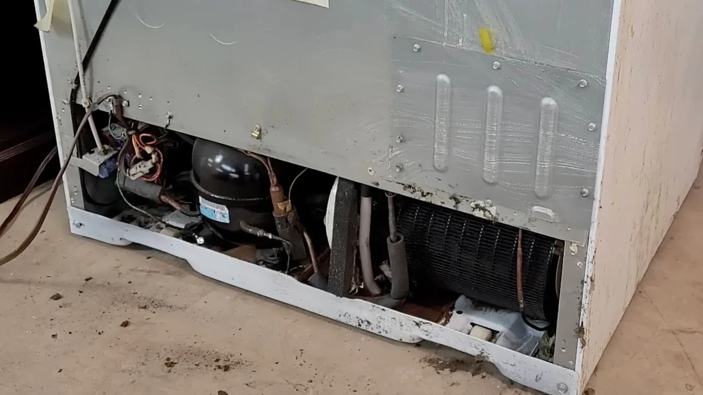 Clean refrigerator condenser coils after professional service in Abilene, TX