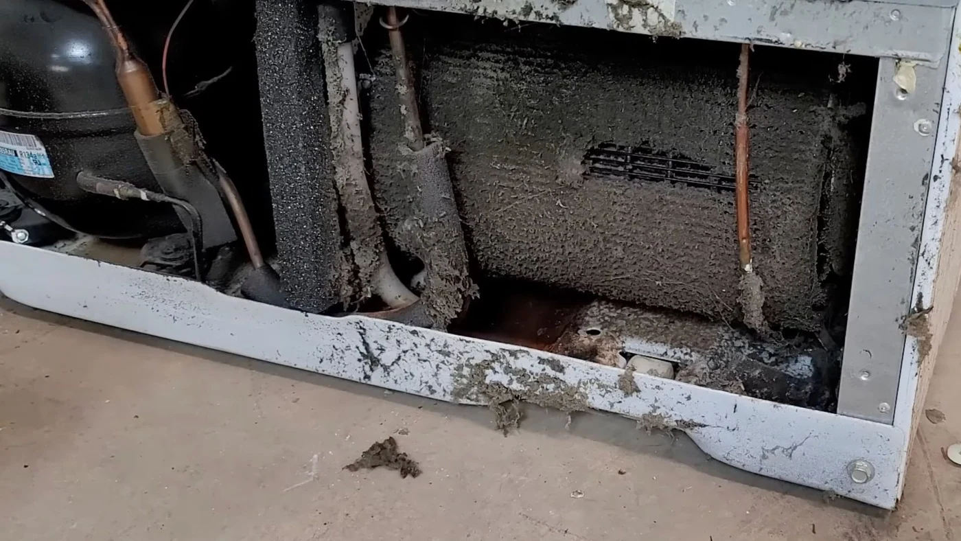 Dirty, clogged refrigerator condenser coils before cleaning in Abilene, TX